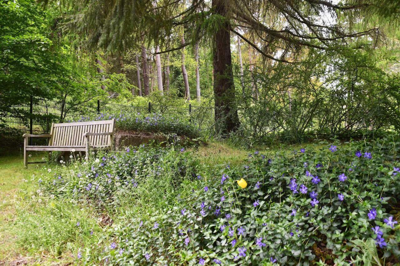 Appartementanlage-ferienwohnungen Weisse Moewe Sassnitz