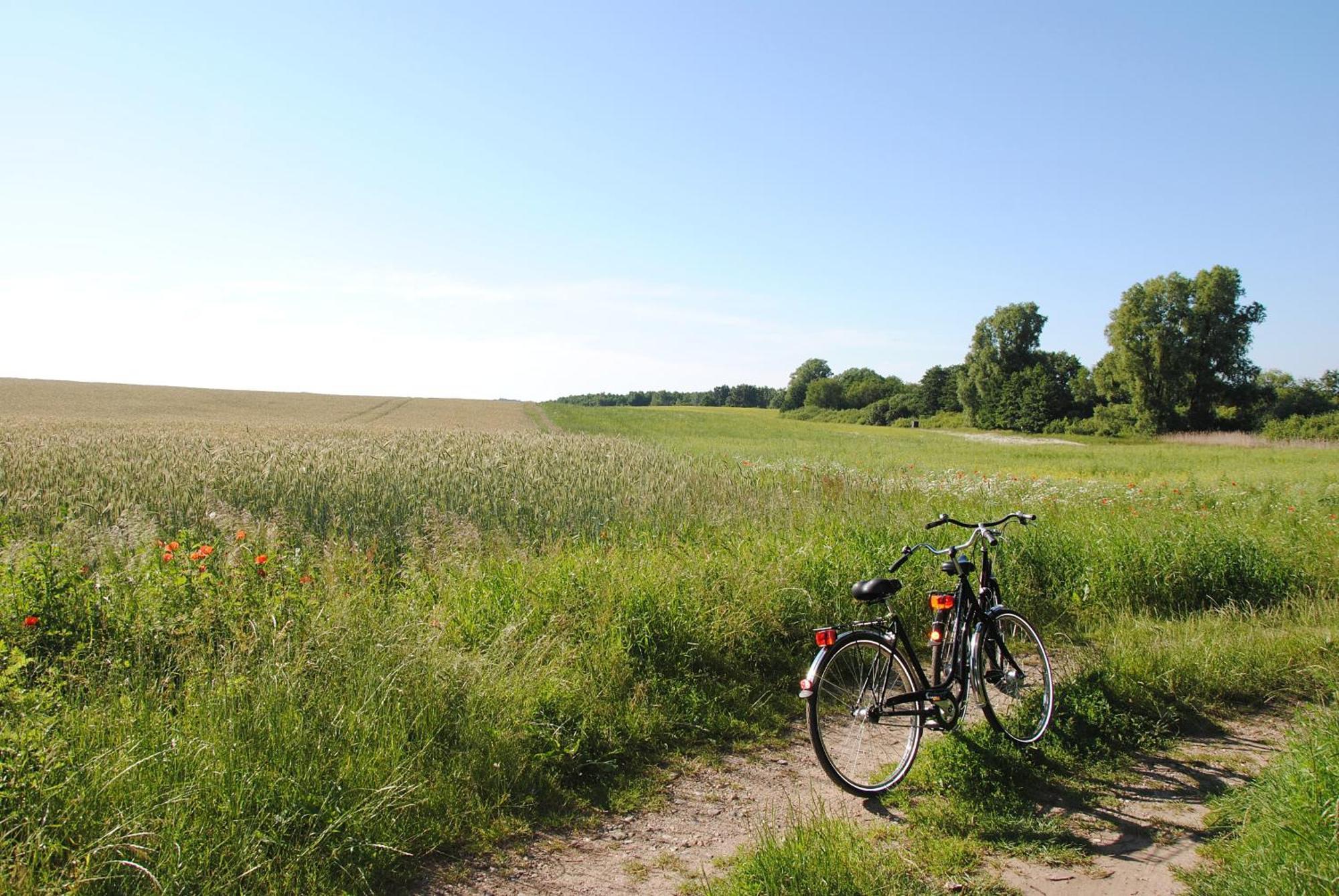 Appartementanlage-ferienwohnungen Weisse Moewe Sassnitz